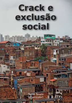 Livro "Crack e exclusão social"